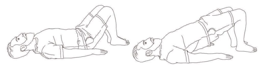 Relevé-bassin-exercices-rebelle-sante.jpg, Image illustrant des exercices de relevé de bassin pour renforcer le dos et les muscles abdominaux, dans le cadre d'une routine de santé et de bien-être recommandée par Rebelle Santé., Illustration de deux personnes réalisant un exercice de relevé de bassin allongées sur le dos pour améliorer la force musculaire et la posture, idéal pour une routine de fitness ou de rééducation. L’image met en avant l’importance d’incorporer ces mouvements dans un programme de santé global.