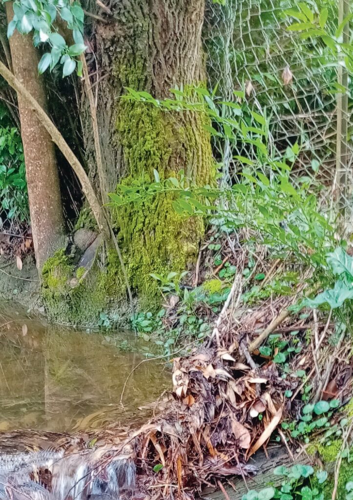 pluie eau