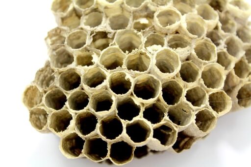 trucs et astuces de santé,trucs et astuces santé,trucs et astuces santé bien-être,trucs et astuces de grand-mère,trucs et astuces santé naturelle