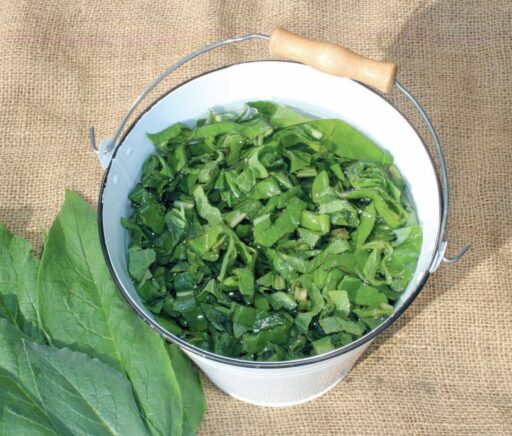 comment faire un jardin bio ?,bio-jardin,comment entretenir un jardin bio ?,au jardin bio,quelle terre pour jardin potager,jardin en biodynamie,jardin bio un moment pour soi,jardin bio produits,jardin bio petit bonheur,potager bio sans pesticide,jardin bio avis,jardin bio calme et sérénité,jardin bio etic,jardin biodiversité