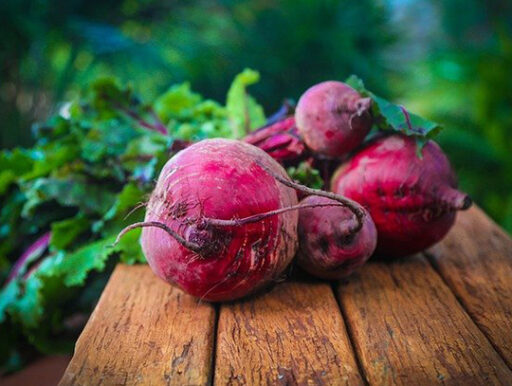 comment faire un jardin bio ?,bio-jardin,comment entretenir un jardin bio ?,au jardin bio,quelle terre pour jardin potager,jardin en biodynamie,jardin bio un moment pour soi,jardin bio produits,jardin bio petit bonheur,potager bio sans pesticide,jardin bio avis,jardin bio calme et sérénité,jardin bio etic,jardin biodiversité