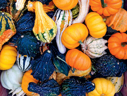 comment faire un jardin bio ?,bio-jardin,comment entretenir un jardin bio ?,au jardin bio,quelle terre pour jardin potager,jardin en biodynamie,jardin bio un moment pour soi,jardin bio produits,jardin bio petit bonheur,potager bio sans pesticide,jardin bio avis,jardin bio calme et sérénité,jardin bio etic,jardin biodiversité