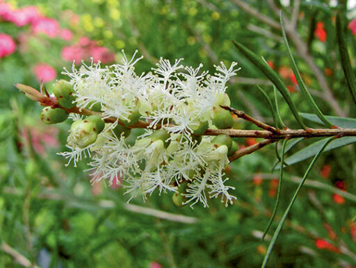 comment faire un jardin bio ?,bio-jardin,comment entretenir un jardin bio ?,au jardin bio,quelle terre pour jardin potager,jardin en biodynamie,jardin bio un moment pour soi,jardin bio produits,jardin bio petit bonheur,potager bio sans pesticide,jardin bio avis,jardin bio calme et sérénité,jardin bio etic,jardin biodiversité