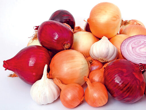 comment faire un jardin bio ?,bio-jardin,comment entretenir un jardin bio ?,au jardin bio,quelle terre pour jardin potager,jardin en biodynamie,jardin bio un moment pour soi,jardin bio produits,jardin bio petit bonheur,potager bio sans pesticide,jardin bio avis,jardin bio calme et sérénité,jardin bio etic,jardin biodiversité