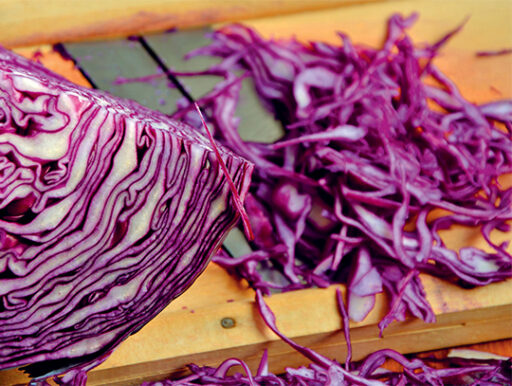 comment faire un jardin bio ?,bio-jardin,comment entretenir un jardin bio ?,au jardin bio,quelle terre pour jardin potager,jardin en biodynamie,jardin bio un moment pour soi,jardin bio produits,jardin bio petit bonheur,potager bio sans pesticide,jardin bio avis,jardin bio calme et sérénité,jardin bio etic,jardin biodiversité