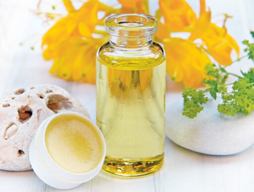 comment faire un jardin bio ?,bio-jardin,comment entretenir un jardin bio ?,au jardin bio,quelle terre pour jardin potager,jardin en biodynamie,jardin bio un moment pour soi,jardin bio produits,jardin bio petit bonheur,potager bio sans pesticide,jardin bio avis,jardin bio calme et sérénité,jardin bio etic,jardin biodiversité