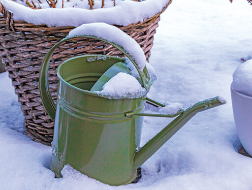 comment faire un jardin bio ?,bio-jardin,comment entretenir un jardin bio ?,au jardin bio,quelle terre pour jardin potager,jardin en biodynamie,jardin bio un moment pour soi,jardin bio produits,jardin bio petit bonheur,potager bio sans pesticide,jardin bio avis,jardin bio calme et sérénité,jardin bio etic,jardin biodiversité