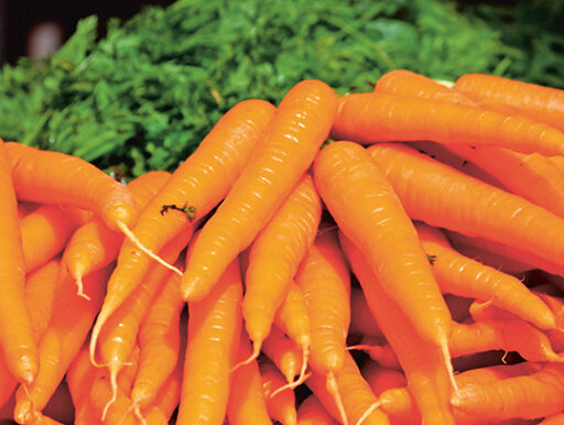 comment faire un jardin bio ?,bio-jardin,comment entretenir un jardin bio ?,au jardin bio,quelle terre pour jardin potager,jardin en biodynamie,jardin bio un moment pour soi,jardin bio produits,jardin bio petit bonheur,potager bio sans pesticide,jardin bio avis,jardin bio calme et sérénité,jardin bio etic,jardin biodiversité