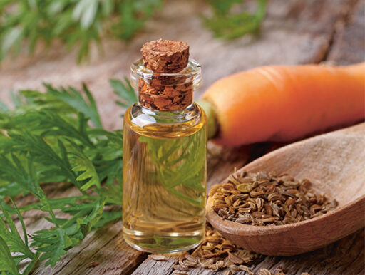 comment faire un jardin bio ?,bio-jardin,comment entretenir un jardin bio ?,au jardin bio,quelle terre pour jardin potager,jardin en biodynamie,jardin bio un moment pour soi,jardin bio produits,jardin bio petit bonheur,potager bio sans pesticide,jardin bio avis,jardin bio calme et sérénité,jardin bio etic,jardin biodiversité