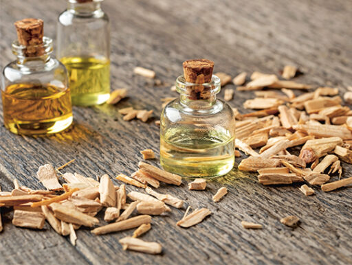 comment faire un jardin bio ?,bio-jardin,comment entretenir un jardin bio ?,au jardin bio,quelle terre pour jardin potager,jardin en biodynamie,jardin bio un moment pour soi,jardin bio produits,jardin bio petit bonheur,potager bio sans pesticide,jardin bio avis,jardin bio calme et sérénité,jardin bio etic,jardin biodiversité