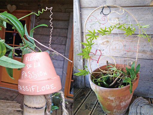 comment faire un jardin bio ?,bio-jardin,comment entretenir un jardin bio ?,au jardin bio,quelle terre pour jardin potager,jardin en biodynamie,jardin bio un moment pour soi,jardin bio produits,jardin bio petit bonheur,potager bio sans pesticide,jardin bio avis,jardin bio calme et sérénité,jardin bio etic,jardin biodiversité