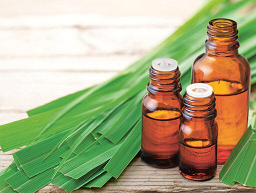 comment faire un jardin bio ?,bio-jardin,comment entretenir un jardin bio ?,au jardin bio,quelle terre pour jardin potager,jardin en biodynamie,jardin bio un moment pour soi,jardin bio produits,jardin bio petit bonheur,potager bio sans pesticide,jardin bio avis,jardin bio calme et sérénité,jardin bio etic,jardin biodiversité