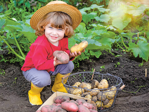comment faire un jardin bio ?,bio-jardin,comment entretenir un jardin bio ?,au jardin bio,quelle terre pour jardin potager,jardin en biodynamie,jardin bio un moment pour soi,jardin bio produits,jardin bio petit bonheur,potager bio sans pesticide,jardin bio avis,jardin bio calme et sérénité,jardin bio etic,jardin biodiversité