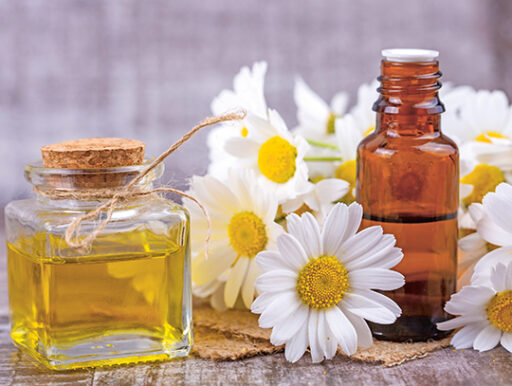 comment faire un jardin bio ?,bio-jardin,comment entretenir un jardin bio ?,au jardin bio,quelle terre pour jardin potager,jardin en biodynamie,jardin bio un moment pour soi,jardin bio produits,jardin bio petit bonheur,potager bio sans pesticide,jardin bio avis,jardin bio calme et sérénité,jardin bio etic,jardin biodiversité