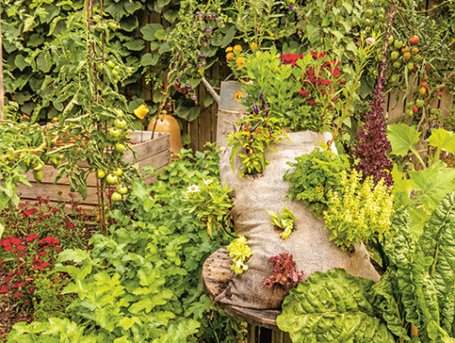 comment faire un jardin bio ?,bio-jardin,comment entretenir un jardin bio ?,au jardin bio,quelle terre pour jardin potager,jardin en biodynamie,jardin bio un moment pour soi,jardin bio produits,jardin bio petit bonheur,potager bio sans pesticide,jardin bio avis,jardin bio calme et sérénité,jardin bio etic,jardin biodiversité