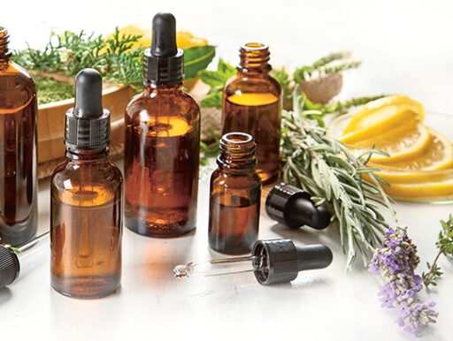 comment faire un jardin bio ?,bio-jardin,comment entretenir un jardin bio ?,au jardin bio,quelle terre pour jardin potager,jardin en biodynamie,jardin bio un moment pour soi,jardin bio produits,jardin bio petit bonheur,potager bio sans pesticide,jardin bio avis,jardin bio calme et sérénité,jardin bio etic,jardin biodiversité