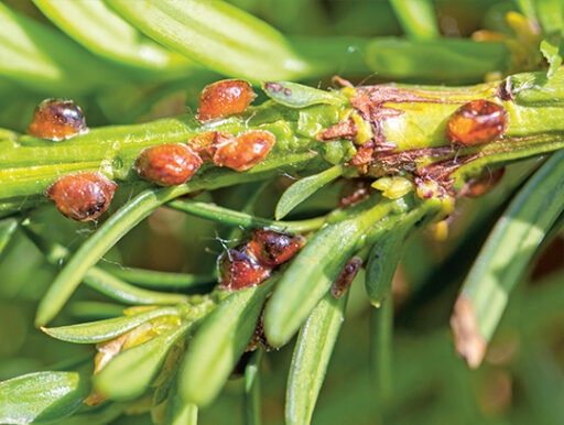 comment faire un jardin bio ?,bio-jardin,comment entretenir un jardin bio ?,au jardin bio,quelle terre pour jardin potager,jardin en biodynamie,jardin bio un moment pour soi,jardin bio produits,jardin bio petit bonheur,potager bio sans pesticide,jardin bio avis,jardin bio calme et sérénité,jardin bio etic,jardin biodiversité