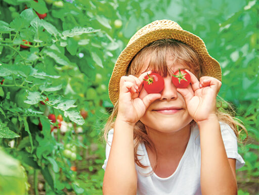 comment faire un jardin bio ?,bio-jardin,comment entretenir un jardin bio ?,au jardin bio,quelle terre pour jardin potager,jardin en biodynamie,jardin bio un moment pour soi,jardin bio produits,jardin bio petit bonheur,potager bio sans pesticide,jardin bio avis,jardin bio calme et sérénité,jardin bio etic,jardin biodiversité