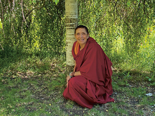 comment faire un jardin bio ?,bio-jardin,comment entretenir un jardin bio ?,au jardin bio,quelle terre pour jardin potager,jardin en biodynamie,jardin bio un moment pour soi,jardin bio produits,jardin bio petit bonheur,potager bio sans pesticide,jardin bio avis,jardin bio calme et sérénité,jardin bio etic,jardin biodiversité