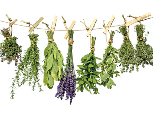 comment faire un jardin bio ?,bio-jardin,comment entretenir un jardin bio ?,au jardin bio,quelle terre pour jardin potager,jardin en biodynamie,jardin bio un moment pour soi,jardin bio produits,jardin bio petit bonheur,potager bio sans pesticide,jardin bio avis,jardin bio calme et sérénité,jardin bio etic,jardin biodiversité