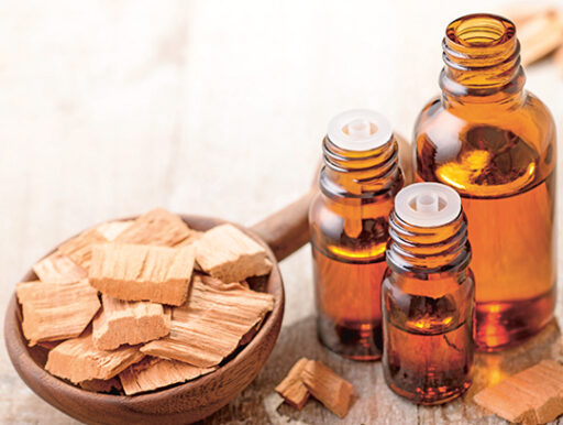 comment faire un jardin bio ?,bio-jardin,comment entretenir un jardin bio ?,au jardin bio,quelle terre pour jardin potager,jardin en biodynamie,jardin bio un moment pour soi,jardin bio produits,jardin bio petit bonheur,potager bio sans pesticide,jardin bio avis,jardin bio calme et sérénité,jardin bio etic,jardin biodiversité