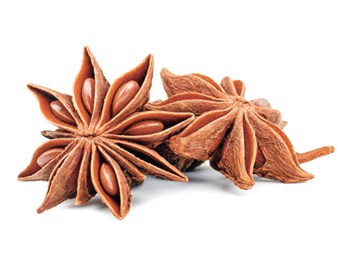 comment faire un jardin bio ?,bio-jardin,comment entretenir un jardin bio ?,au jardin bio,quelle terre pour jardin potager,jardin en biodynamie,jardin bio un moment pour soi,jardin bio produits,jardin bio petit bonheur,potager bio sans pesticide,jardin bio avis,jardin bio calme et sérénité,jardin bio etic,jardin biodiversité