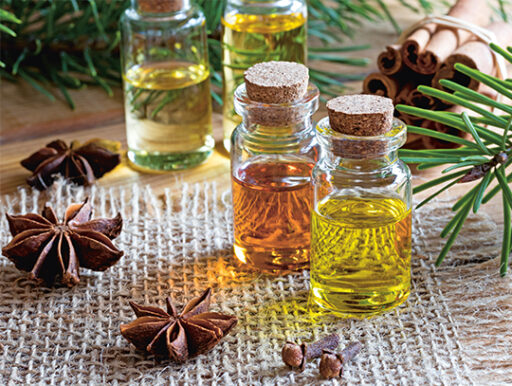 comment faire un jardin bio ?,bio-jardin,comment entretenir un jardin bio ?,au jardin bio,quelle terre pour jardin potager,jardin en biodynamie,jardin bio un moment pour soi,jardin bio produits,jardin bio petit bonheur,potager bio sans pesticide,jardin bio avis,jardin bio calme et sérénité,jardin bio etic,jardin biodiversité