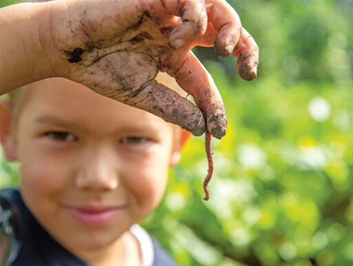 comment faire un jardin bio ?,bio-jardin,comment entretenir un jardin bio ?,au jardin bio,quelle terre pour jardin potager,jardin en biodynamie,jardin bio un moment pour soi,jardin bio produits,jardin bio petit bonheur,potager bio sans pesticide,jardin bio avis,jardin bio calme et sérénité,jardin bio etic,jardin biodiversité