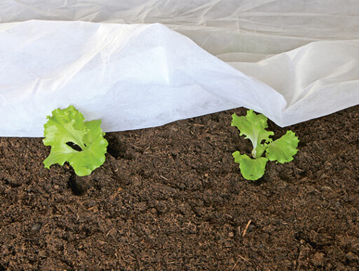 comment faire un jardin bio ?,bio-jardin,comment entretenir un jardin bio ?,au jardin bio,quelle terre pour jardin potager,jardin en biodynamie,jardin bio un moment pour soi,jardin bio produits,jardin bio petit bonheur,potager bio sans pesticide,jardin bio avis,jardin bio calme et sérénité,jardin bio etic,jardin biodiversité