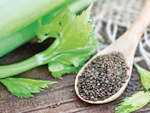 comment faire un jardin bio ?,bio-jardin,comment entretenir un jardin bio ?,au jardin bio,quelle terre pour jardin potager,jardin en biodynamie,jardin bio un moment pour soi,jardin bio produits,jardin bio petit bonheur,potager bio sans pesticide,jardin bio avis,jardin bio calme et sérénité,jardin bio etic,jardin biodiversité