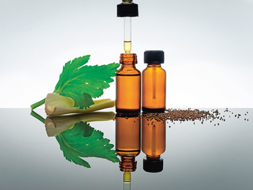 comment faire un jardin bio ?,bio-jardin,comment entretenir un jardin bio ?,au jardin bio,quelle terre pour jardin potager,jardin en biodynamie,jardin bio un moment pour soi,jardin bio produits,jardin bio petit bonheur,potager bio sans pesticide,jardin bio avis,jardin bio calme et sérénité,jardin bio etic,jardin biodiversité