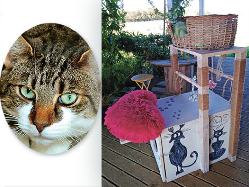 comment faire un jardin bio ?,bio-jardin,comment entretenir un jardin bio ?,au jardin bio,quelle terre pour jardin potager,jardin en biodynamie,jardin bio un moment pour soi,jardin bio produits,jardin bio petit bonheur,potager bio sans pesticide,jardin bio avis,jardin bio calme et sérénité,jardin bio etic,jardin biodiversité