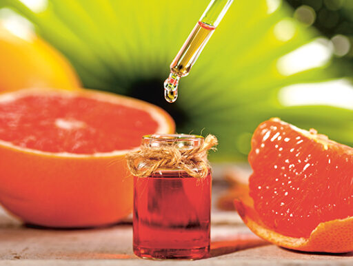 comment faire un jardin bio ?,bio-jardin,comment entretenir un jardin bio ?,au jardin bio,quelle terre pour jardin potager,jardin en biodynamie,jardin bio un moment pour soi,jardin bio produits,jardin bio petit bonheur,potager bio sans pesticide,jardin bio avis,jardin bio calme et sérénité,jardin bio etic,jardin biodiversité