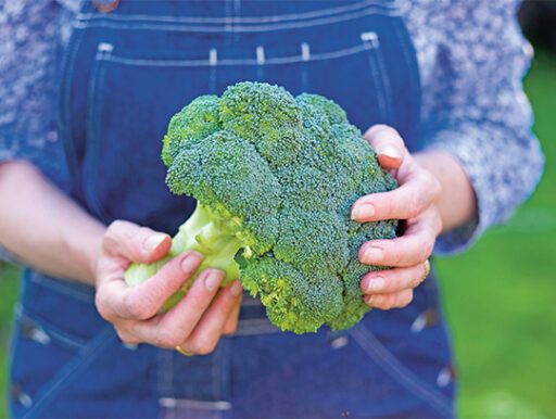 comment faire un jardin bio ?,bio-jardin,comment entretenir un jardin bio ?,au jardin bio,quelle terre pour jardin potager,jardin en biodynamie,jardin bio un moment pour soi,jardin bio produits,jardin bio petit bonheur,potager bio sans pesticide,jardin bio avis,jardin bio calme et sérénité,jardin bio etic,jardin biodiversité