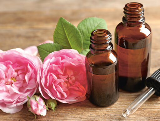 comment faire un jardin bio ?,bio-jardin,comment entretenir un jardin bio ?,au jardin bio,quelle terre pour jardin potager,jardin en biodynamie,jardin bio un moment pour soi,jardin bio produits,jardin bio petit bonheur,potager bio sans pesticide,jardin bio avis,jardin bio calme et sérénité,jardin bio etic,jardin biodiversité