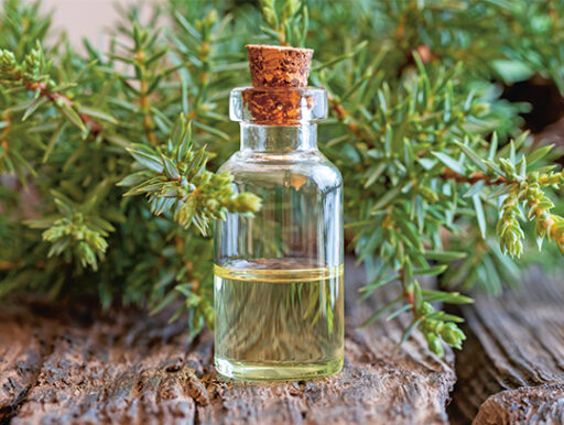 comment faire un jardin bio ?,bio-jardin,comment entretenir un jardin bio ?,au jardin bio,quelle terre pour jardin potager,jardin en biodynamie,jardin bio un moment pour soi,jardin bio produits,jardin bio petit bonheur,potager bio sans pesticide,jardin bio avis,jardin bio calme et sérénité,jardin bio etic,jardin biodiversité