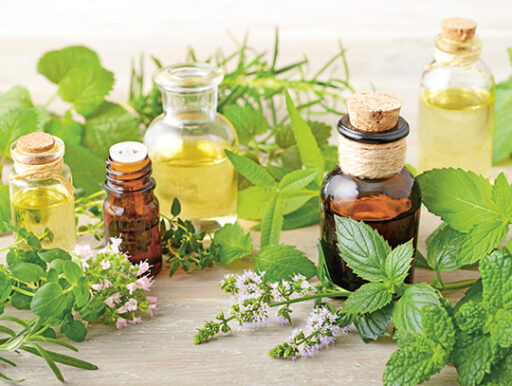 comment faire un jardin bio ?,bio-jardin,comment entretenir un jardin bio ?,au jardin bio,quelle terre pour jardin potager,jardin en biodynamie,jardin bio un moment pour soi,jardin bio produits,jardin bio petit bonheur,potager bio sans pesticide,jardin bio avis,jardin bio calme et sérénité,jardin bio etic,jardin biodiversité