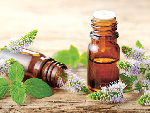 comment faire un jardin bio ?,bio-jardin,comment entretenir un jardin bio ?,au jardin bio,quelle terre pour jardin potager,jardin en biodynamie,jardin bio un moment pour soi,jardin bio produits,jardin bio petit bonheur,potager bio sans pesticide,jardin bio avis,jardin bio calme et sérénité,jardin bio etic,jardin biodiversité