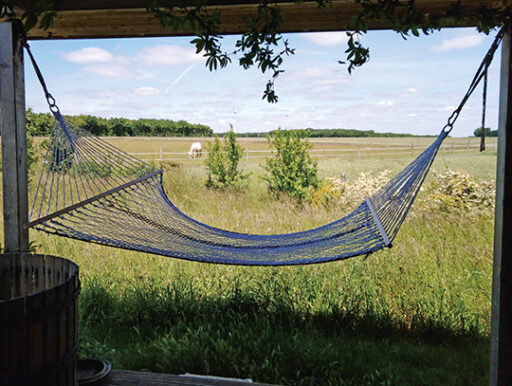 comment faire un jardin bio ?,bio-jardin,comment entretenir un jardin bio ?,au jardin bio,quelle terre pour jardin potager,jardin en biodynamie,jardin bio un moment pour soi,jardin bio produits,jardin bio petit bonheur,potager bio sans pesticide,jardin bio avis,jardin bio calme et sérénité,jardin bio etic,jardin biodiversité