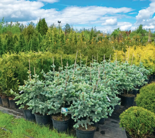 comment faire un jardin bio ?,bio-jardin,comment entretenir un jardin bio ?,au jardin bio,quelle terre pour jardin potager,jardin en biodynamie,jardin bio un moment pour soi,jardin bio produits,jardin bio petit bonheur,potager bio sans pesticide,jardin bio avis,jardin bio calme et sérénité,jardin bio etic,jardin biodiversité