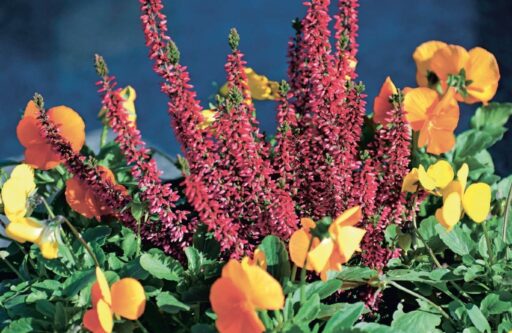 comment faire un jardin bio ?,bio-jardin,comment entretenir un jardin bio ?,au jardin bio,quelle terre pour jardin potager,jardin en biodynamie,jardin bio un moment pour soi,jardin bio produits,jardin bio petit bonheur,potager bio sans pesticide,jardin bio avis,jardin bio calme et sérénité,jardin bio etic,jardin biodiversité