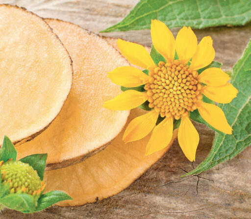 comment faire un jardin bio ?,bio-jardin,comment entretenir un jardin bio ?,au jardin bio,quelle terre pour jardin potager,jardin en biodynamie,jardin bio un moment pour soi,jardin bio produits,jardin bio petit bonheur,potager bio sans pesticide,jardin bio avis,jardin bio calme et sérénité,jardin bio etic,jardin biodiversité